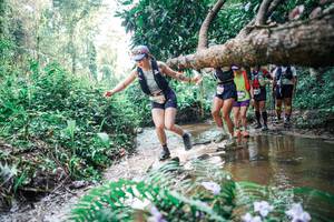 BIB: 
                            <button type="button" onclick="openModal(25458965)" class="btn btn-primary btn-sm float-right btn-popup" data-toggle="modal" data-target=".modal-high-quality">
                        <i class="fas fa-shopping-cart"></i> Add to Cart
                    </button>
                                            <button type="button" onclick="isThisMe(25458965, true)" class="btn btn-success btn-sm float-right btn-popup btn-isme hidden" data-toggle="tooltip" data-placement="bottom" title="นี่คือรูปของคุณใช่ไหม คลิกที่นี่เพื่อเอาเข้าอัลบั้ม">
                        <i class="fas fa-plus"></i> Add to album
                    </button>
                    <button type="button" onclick="isThisMe(25458965, false)" class="btn btn-warning btn-sm float-right btn-popup btn-isnotme hidden">
                        <i class="fas fa-ban"></i> Remove from album
                    </button>